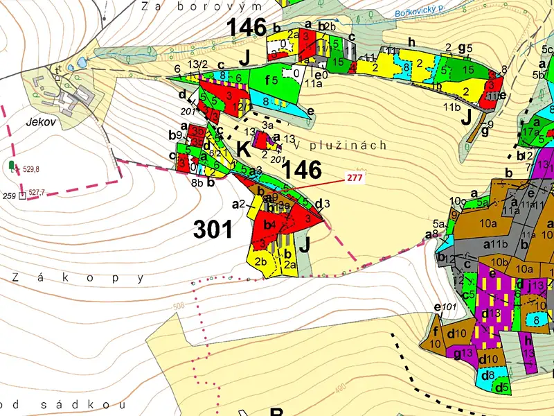 Dražba lesa 4758 m², Šebířov – náhled fotky 3