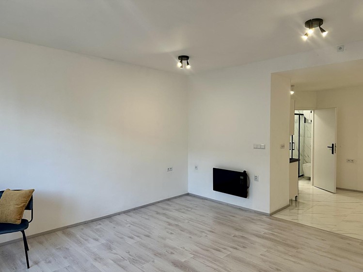 Pronájem bytu 1+kk, 38 m² (10 z 12)