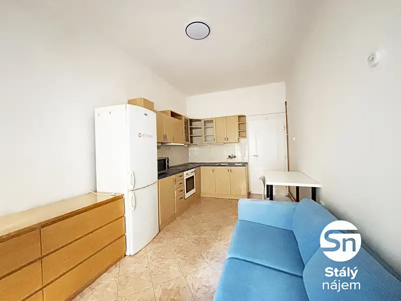 Pronájem bytu 1+1 48 m², Praha – náhled fotky 2