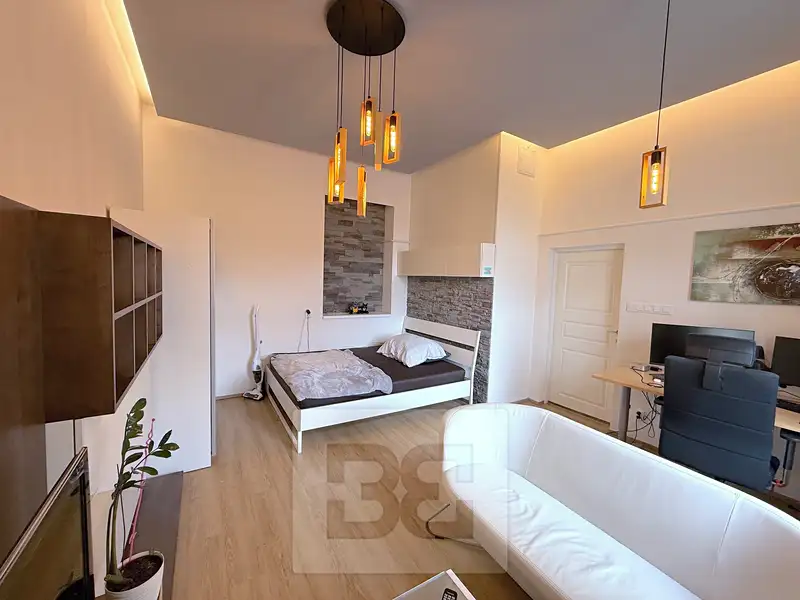 Pronájem bytu 1+1 40 m², Praha – náhled fotky 3