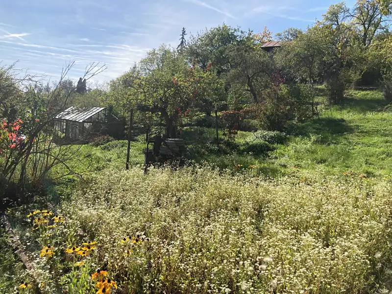 Prodej stavebního pozemku 1488 m², Brno – náhled fotky 2