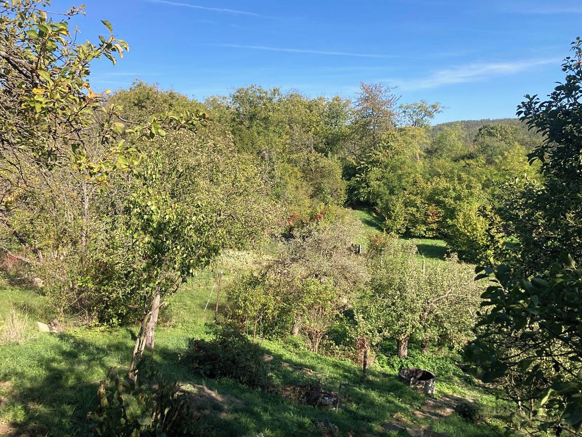 Prodej stavebního pozemku 1488 m² – fotografie 3