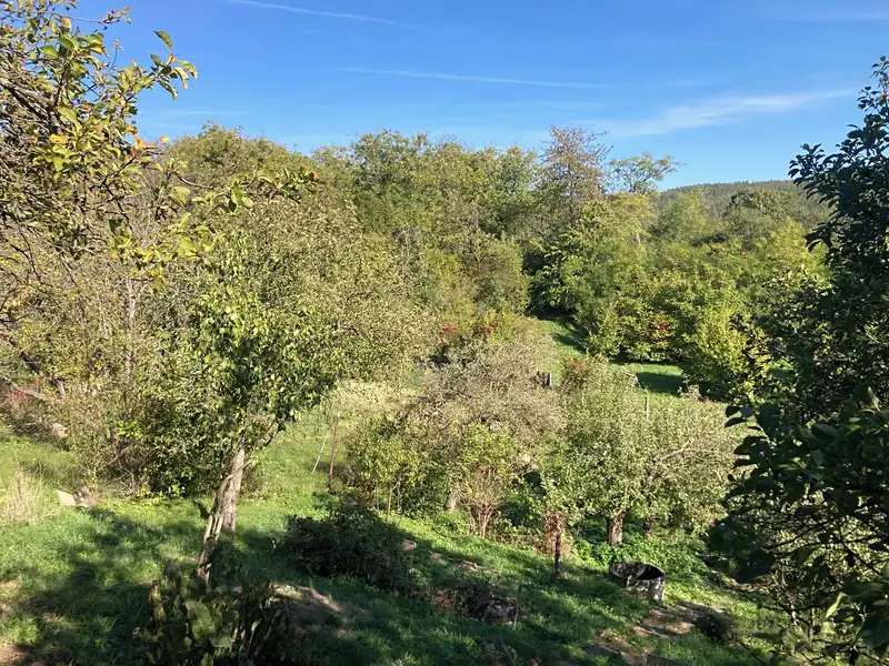 Prodej stavebního pozemku 1488 m², Brno – náhled fotky 3