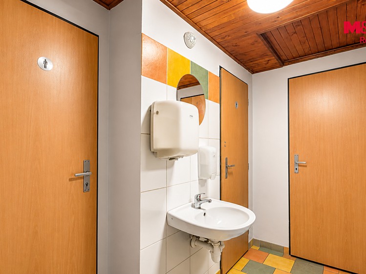Pronájem komerčního prostoru, 194 m² (15 z 20)