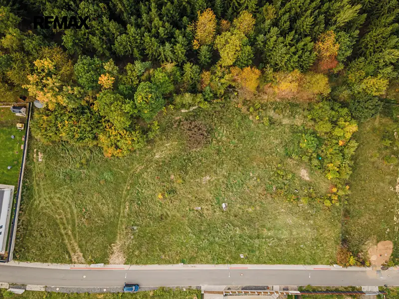 Prodej stavebního pozemku 1289 m², Družec – náhled fotky 2