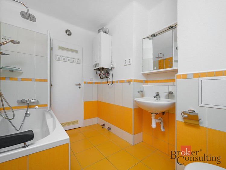 Wohnung 3+kk zur Miete, 54 m² (12 von 18)