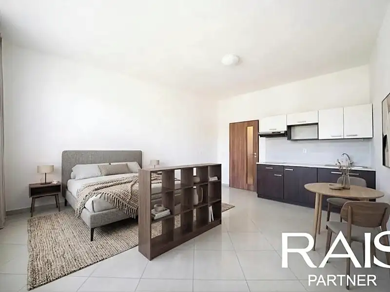Prodej bytu 1+kk 30 m², Brno – náhled fotky 2