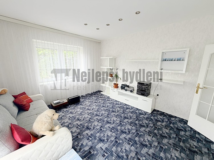 Prodej domu, 170 m² (10 z 16)