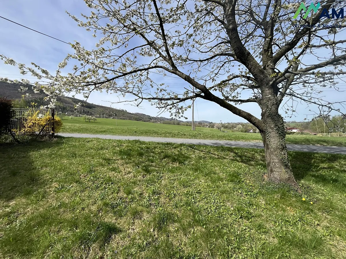Fotka 7 z 15