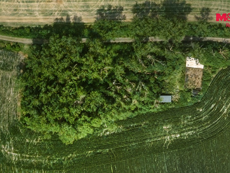 Ділянка на продаж, 8 199 м² (2 з 14)