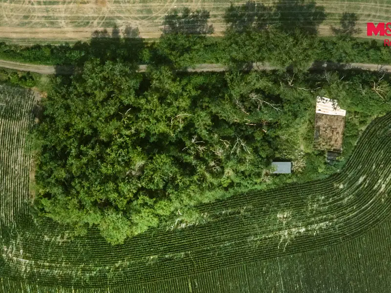 Prodej lesa 8199 m², Libochovice – náhled fotky 2