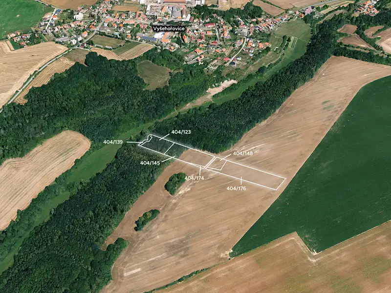 Prodej lesa 19741 m², Vyšehořovice – náhled fotky 1