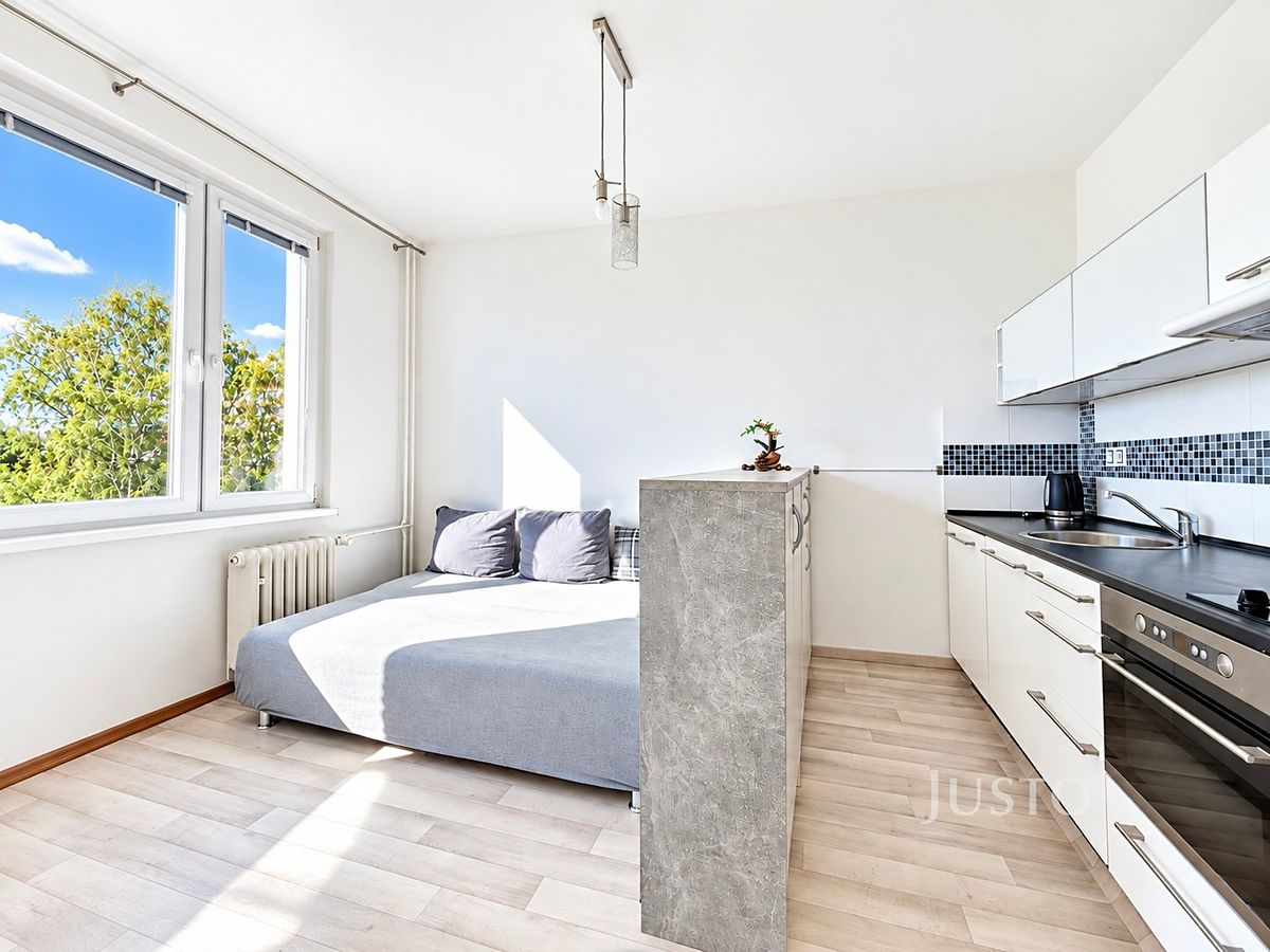 Prodej bytu 1+kk 20 m², Ústí nad Labem – fotka 1 z 3