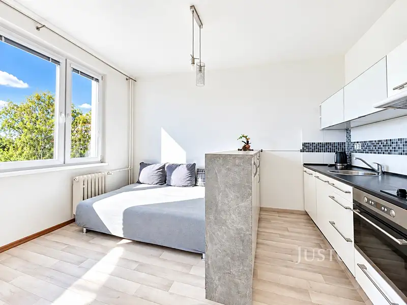Prodej bytu 1+kk 20 m², Ústí nad Labem – náhled fotky 1