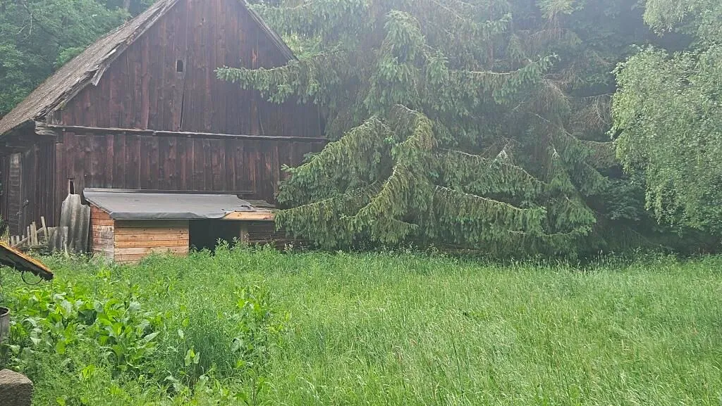 Fotka 16 z 20