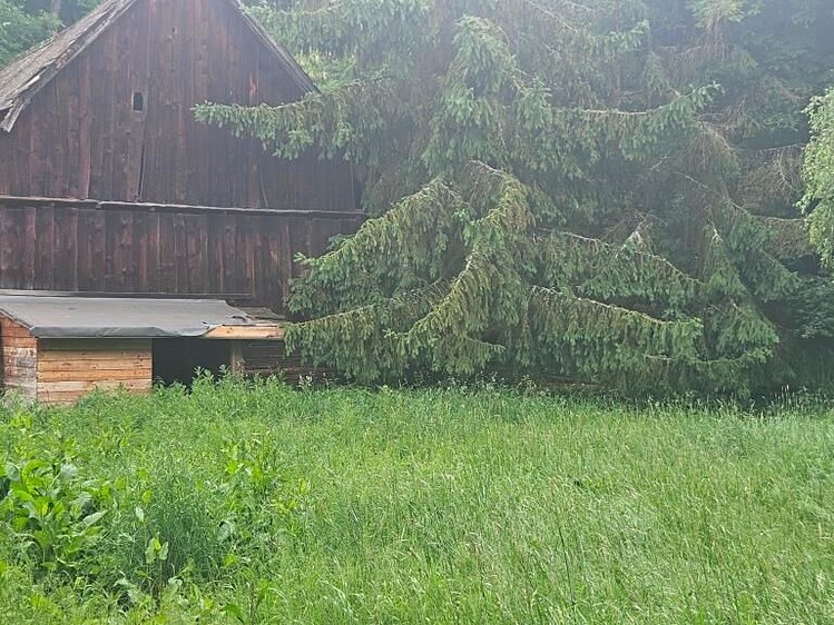 Haus zum Kauf, 393 m² (16 von 20)