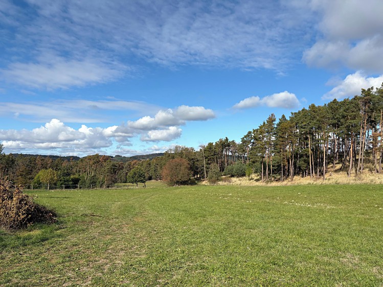 Grundstück zum Kauf, 85.916 m² (14 von 18)