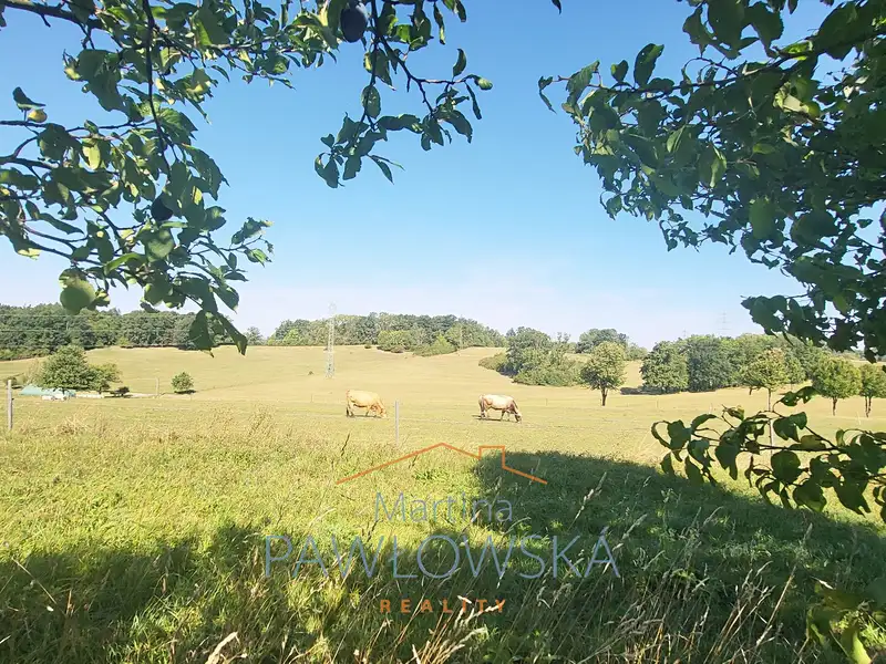 Prodej rodinného domu 250 m², pozemek 5000 m², Fryčovice – náhled fotky 3