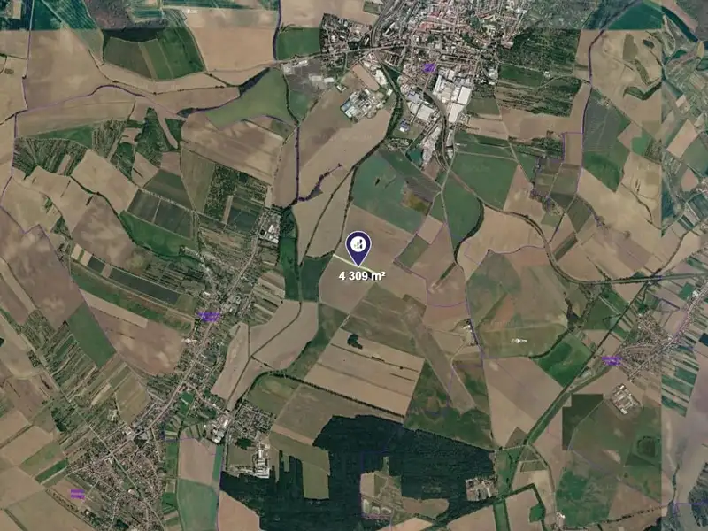 Prodej pole 4295 m², Svatobořice-Mistřín – náhled fotky 2