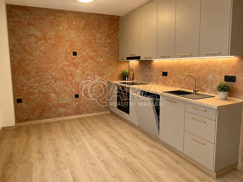 Pronájem bytu 1+kk 30 m², Přerov nad Labem – náhled fotky 1