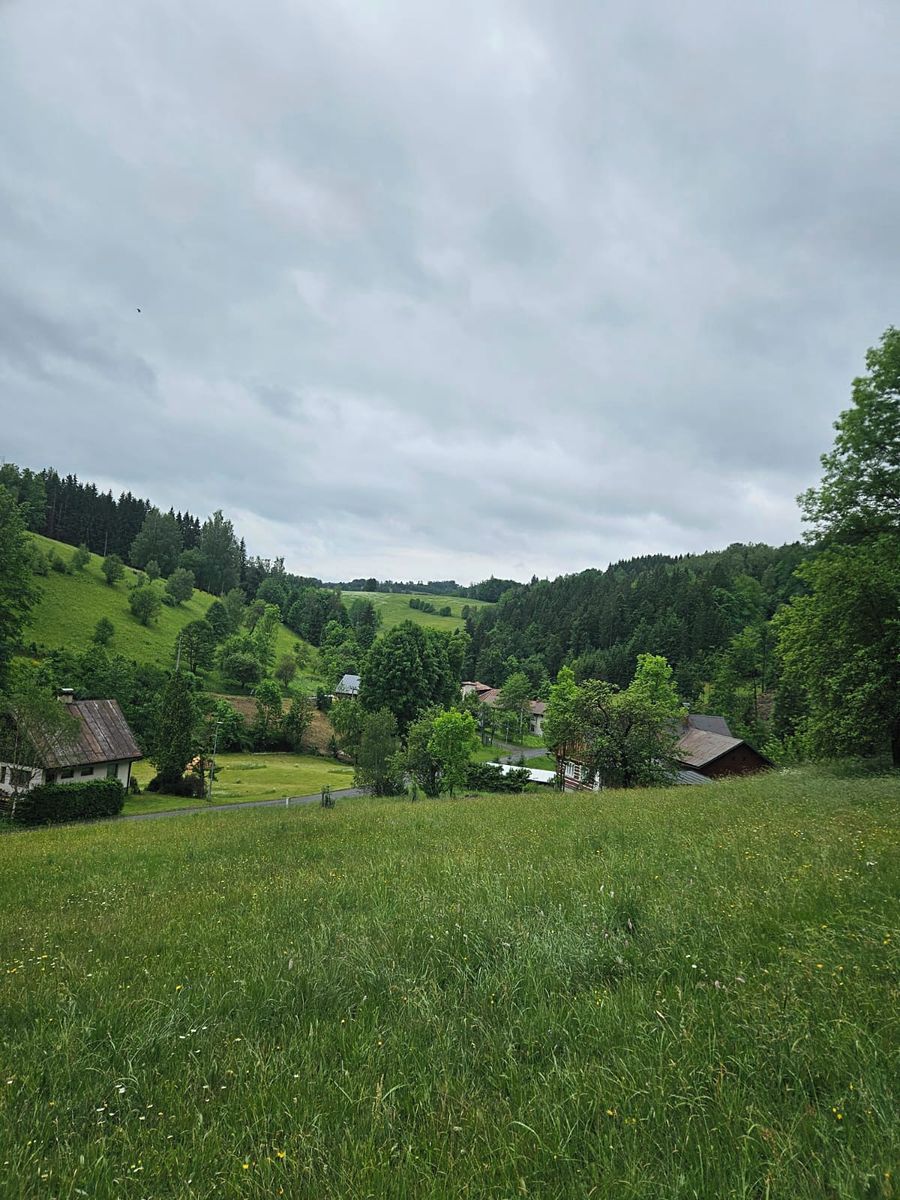 Prodej stavebního pozemku 3018 m², Jablonec nad Jizerou – fotka 1 z 3