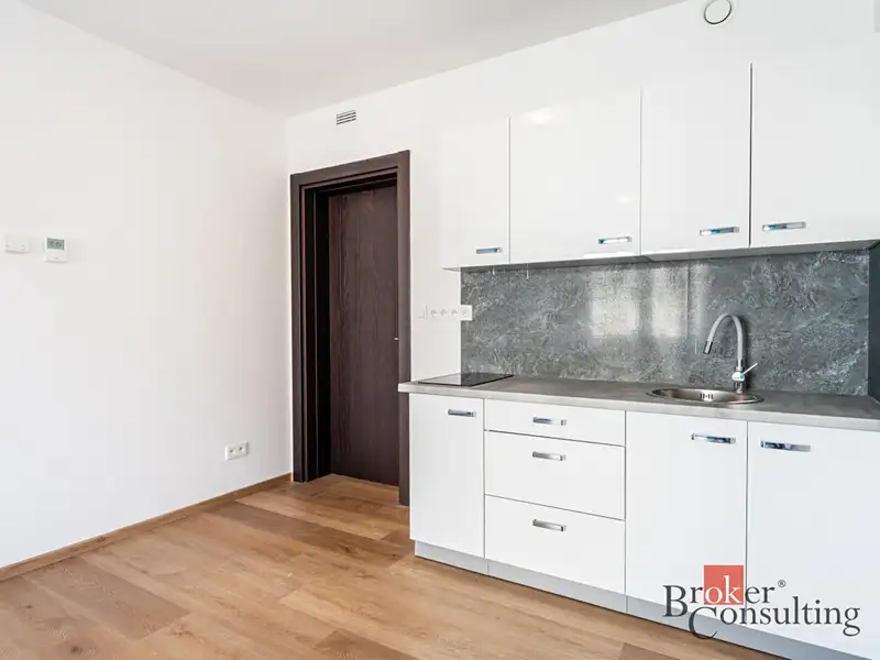 Pronájem bytu 1+kk 31 m², Olomouc – náhled fotky 3
