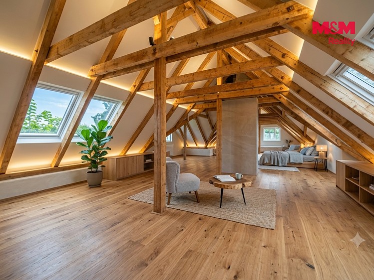 Haus zum Kauf, 234 m² (3 von 30)