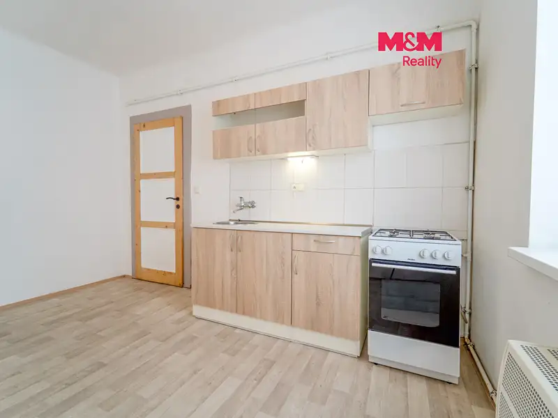 Pronájem bytu 1+1 37 m², Plzeň – náhled fotky 1