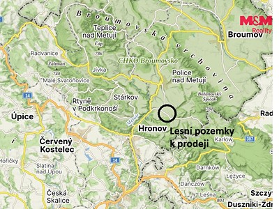 Ділянка на продаж, 26 090 м² (2 з 10)