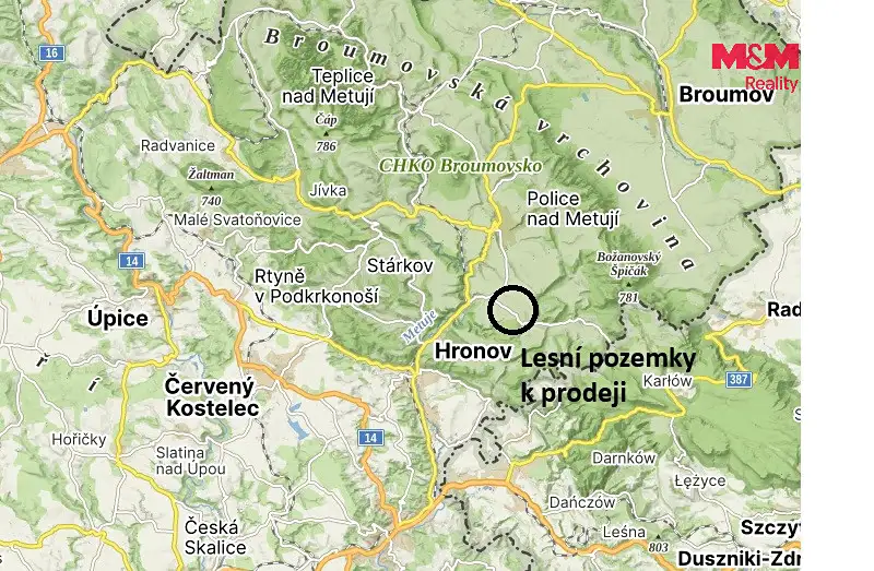Prodej louky 26090 m², Vysoká Srbská – náhled fotky 2