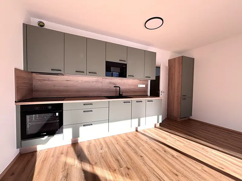 Pronájem bytu 1+kk 35 m², Plzeň – náhled fotky 2