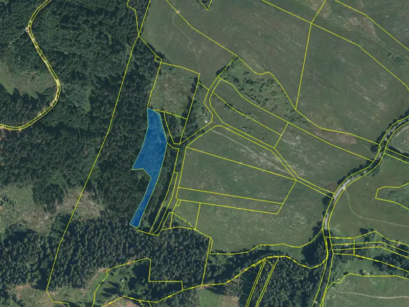 Dražba lesa 7291 m², Dlouhý Újezd – náhled fotky 2