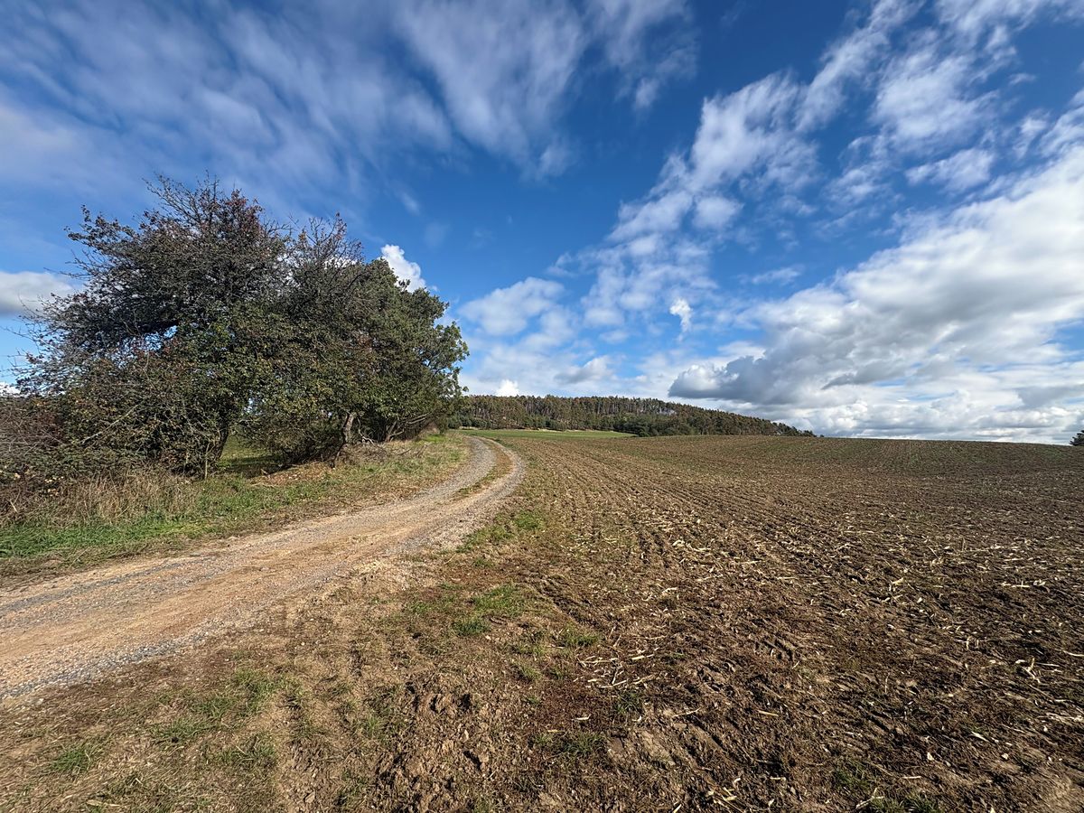 Prodej pole 85916 m², Županovice – fotka 1 z 3