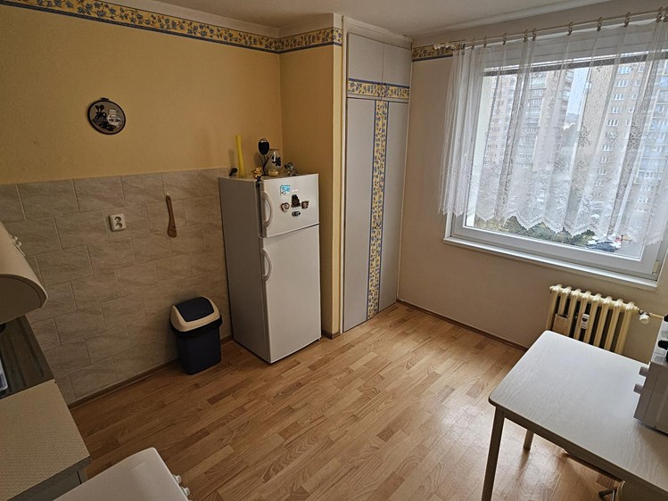 Pronájem bytu 1+1, 47 m² (7 z 14)