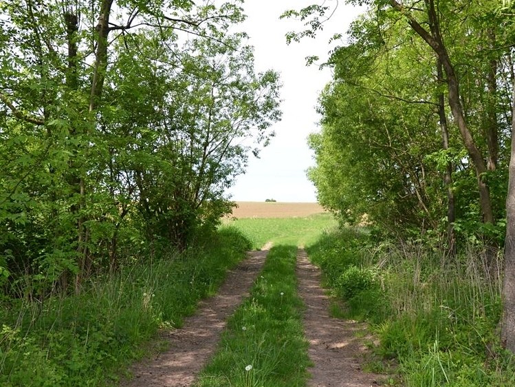 Grundstück zum Kauf, 448 m² (12 von 13)