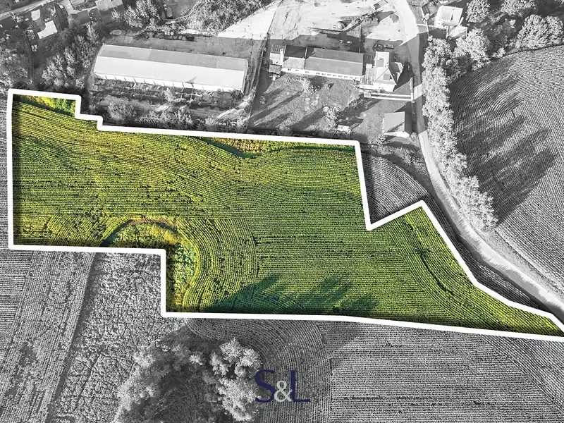 Prodej komerčního pozemku 13896 m², Brniště – náhled fotky 3