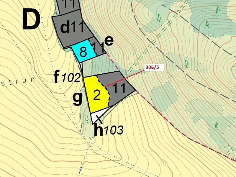 Dražba lesa 4906 m², Záhoří – náhled fotky 3