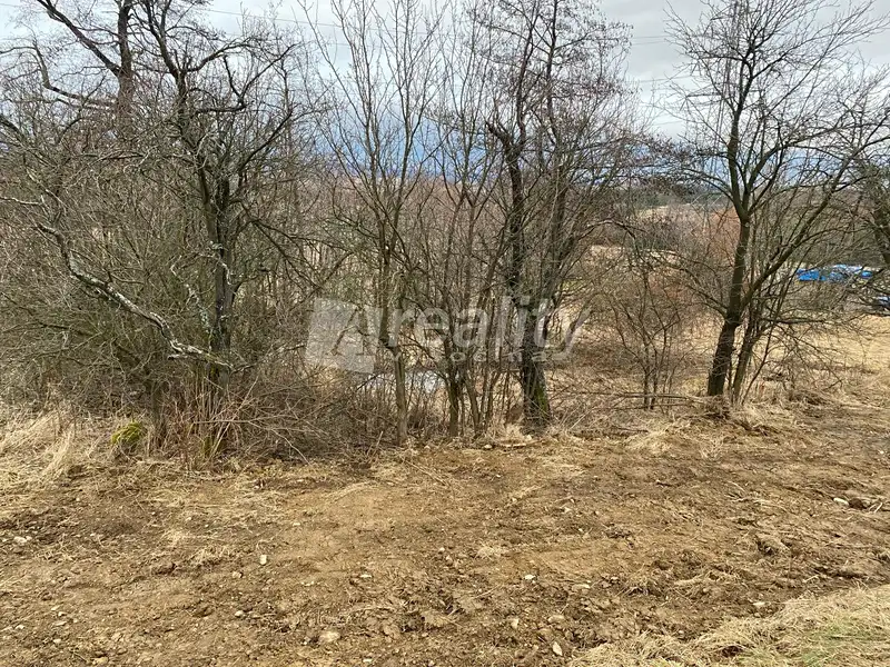 Prodej stavebního pozemku 1268 m², Zašovice – náhled fotky 3