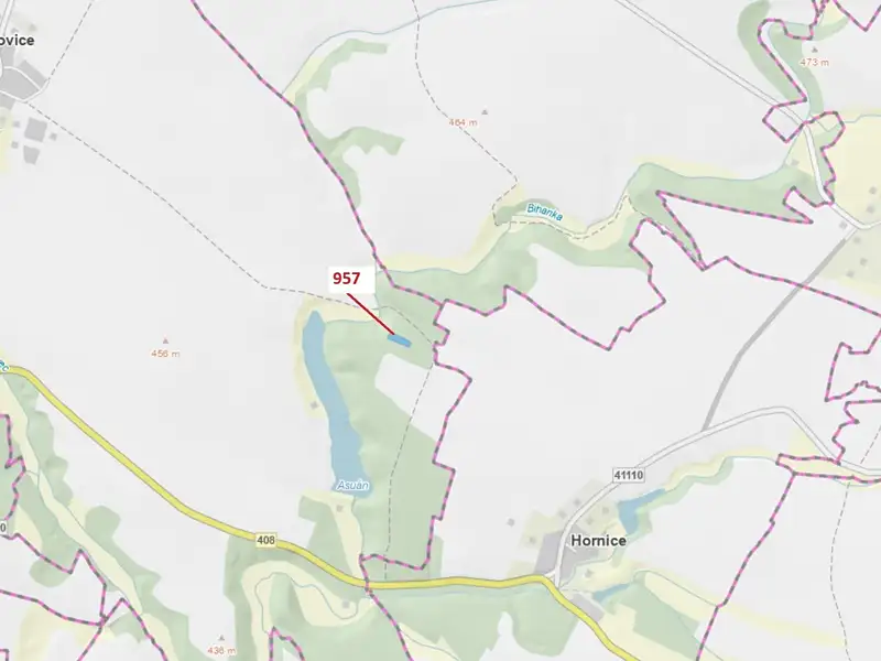 Dražba lesa 2344 m², Mladoňovice – náhled fotky 1