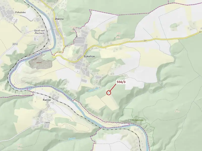 Dražba lesa 326 m², Sýkořice – náhled fotky 1