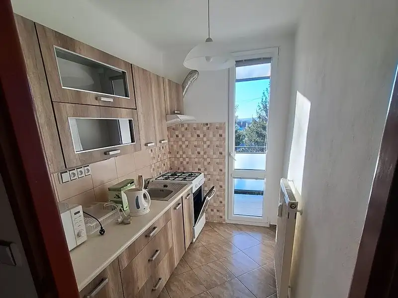 Pronájem bytu 2+1 52 m², České Budějovice – náhled fotky 1