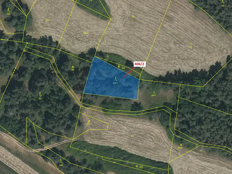 Dražba lesa 1583 m², Velký Bor – náhled fotky 2