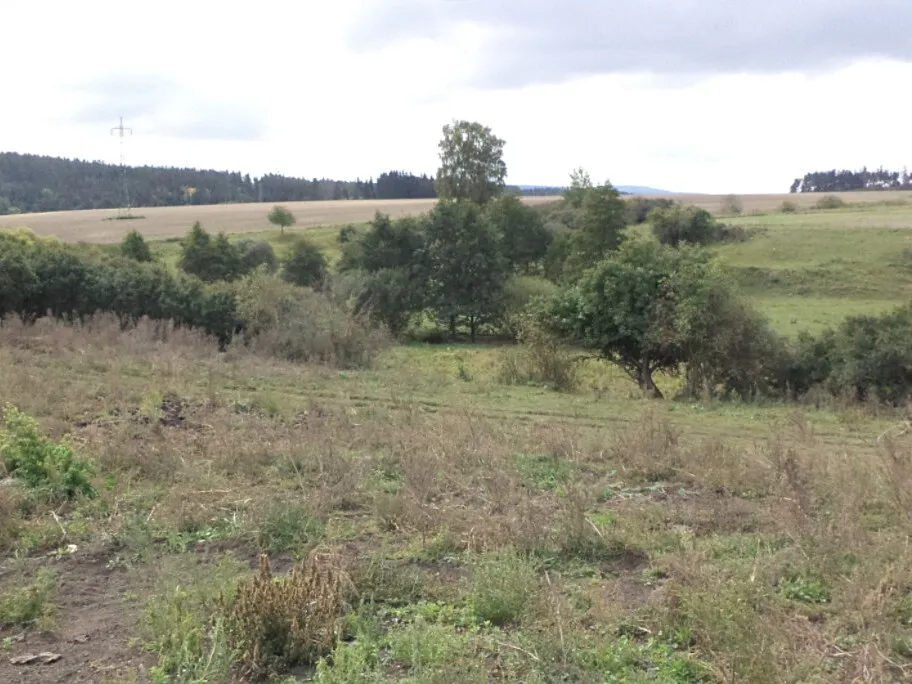 Dražba pole 3504 m²