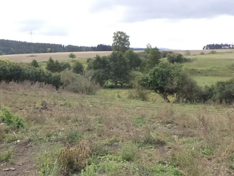 Dražba pole 3504 m², Tachov – náhled fotky 1