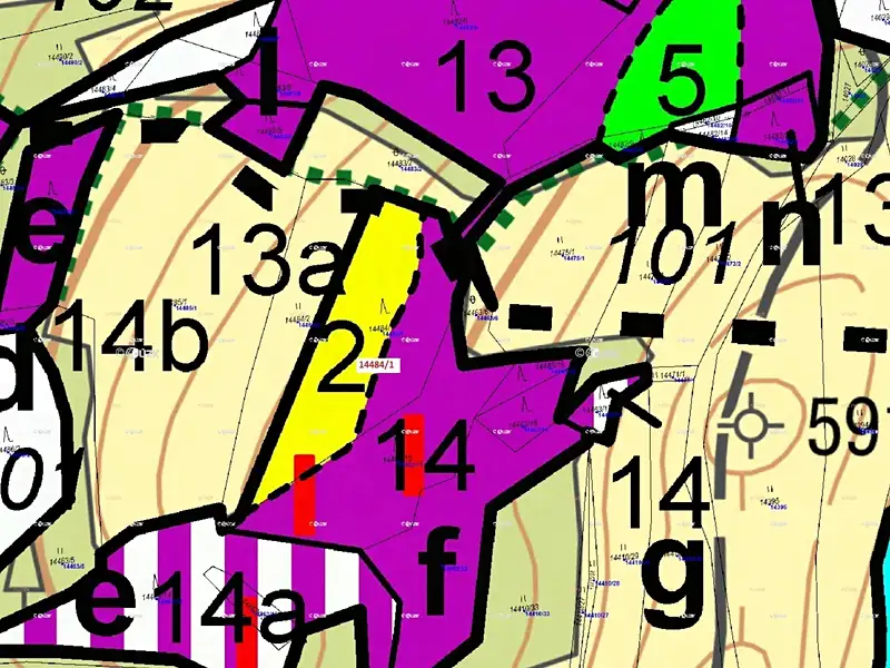 Dražba lesa 2322 m², Hovězí – náhled fotky 3