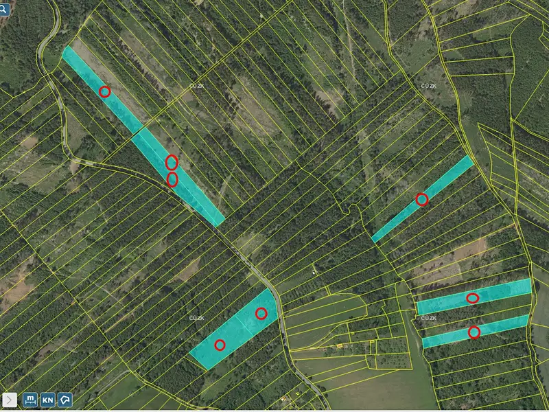 Prodej lesa 70821 m², Jevíčko – náhled fotky 2