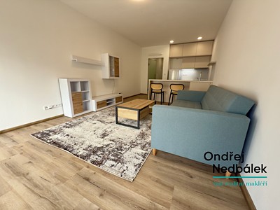 Wohnung 1+kk zur Miete, 33 m² (3 von 15)