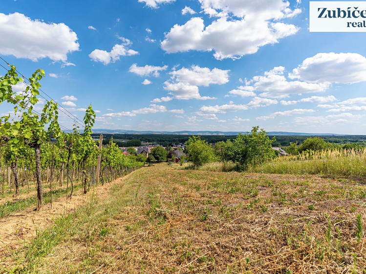 Prodej pozemku, 2 654 m² (13 z 18)