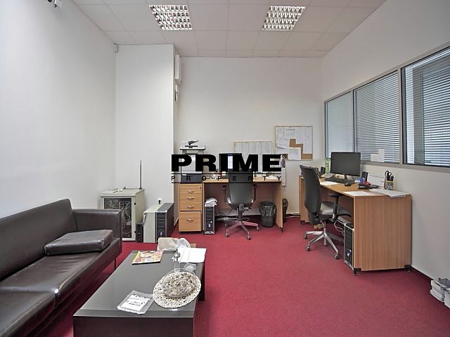 Pronájem komerčního prostoru, 1 395 m² (10 z 28)