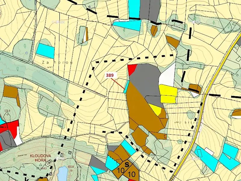 Dražba lesa 332 m², Zavlekov – náhled fotky 3